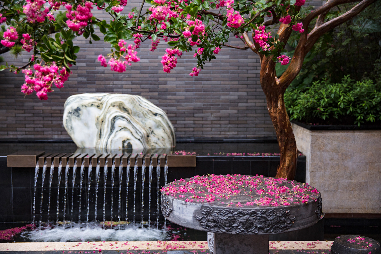 1555424122782361.jpg 704941ab21b817b7824f83c85f67d993751ca7df1a198d-ph4Ofg.jpg