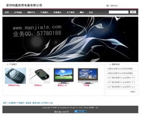 深圳電子公司網站案例