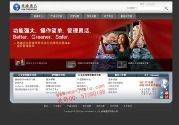 網站成功案例